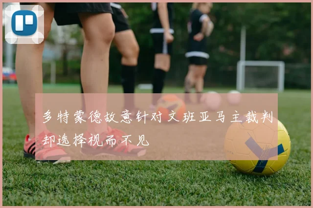多特蒙德故意针对文班亚马主裁判却选择视而不见